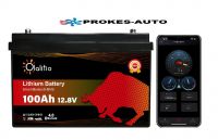 OLALITIO Lithiová baterie LiFePO4 Smart BMS 12,8V/100Ah 1280Wh Bluetooth OLA-12-100 pro karavany a obytné vozy
